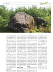 Síða 47