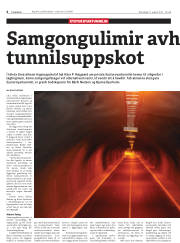 Síða 6