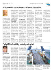 Síða 27