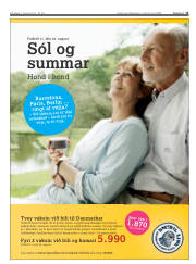 Síða 13