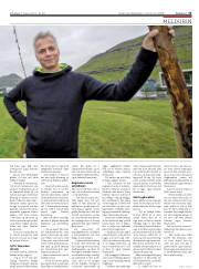 Síða 15
