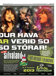 Síða 17