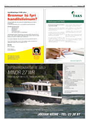 Síða 21