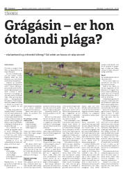 Síða 22