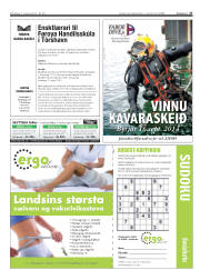 Síða 27