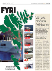 Síða 11