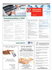 Síða 17
