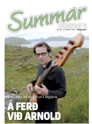Síða 33
