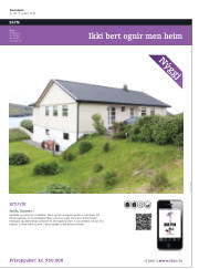 Síða 41