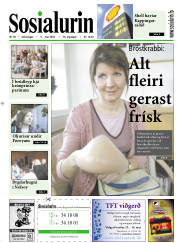 Síða 1