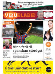 Síða 33