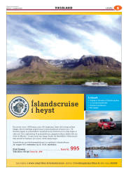Síða 37