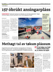 Síða 6