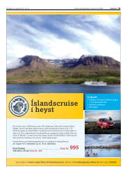 Síða 13