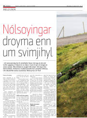 Síða 14
