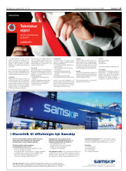 Síða 17