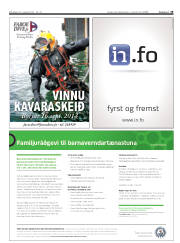 Síða 19
