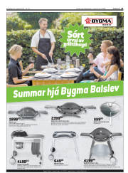 Síða 21