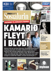 Síða 1