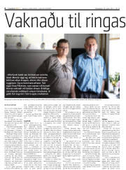 Síða 6
