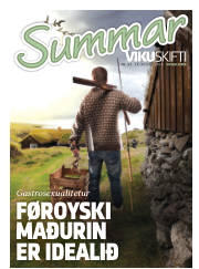 Síða 33