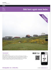 Síða 41