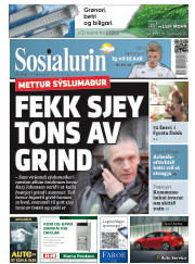 Síða 1