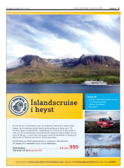 Síða 3