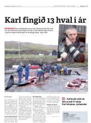 Síða 7