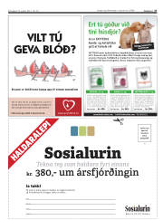 Síða 27