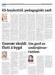 Síða 31