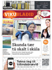 Síða 33