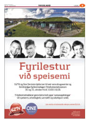 Síða 39