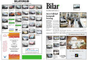 Síða 9