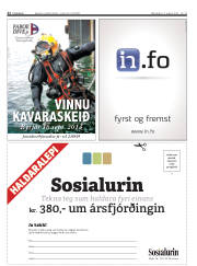 Síða 22