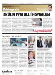Síða 2