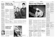 Síða 12