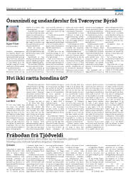 Síða 25