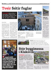 Síða 26