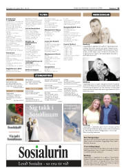 Síða 31