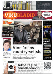 Síða 33