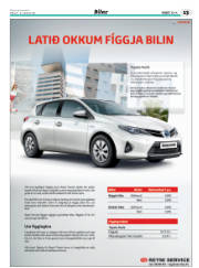 Síða 45