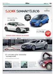 Síða 55