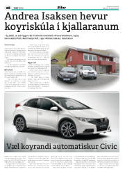 Síða 60
