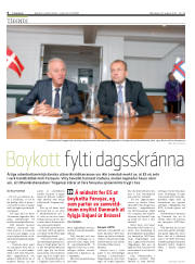 Síða 6
