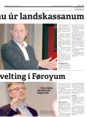 Síða 15