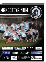Síða 17