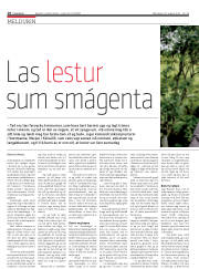 Síða 18