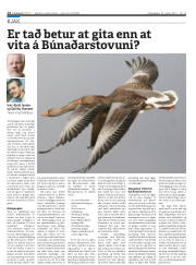 Síða 14