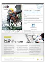 Síða 22